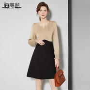 海青藍(lán)時(shí)尚氣質(zhì)珍珠圓領(lǐng)長袖連衣裙女2024秋季新款拼接撞色中長裙輕熟 拼色 2XL