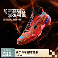 李寧利刃5-真火丨籃球鞋男鞋2025透氣抗扭專業(yè)運(yùn)動(dòng)鞋ABAU101