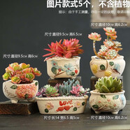 仟尚億多肉花盆陶瓷個(gè)性簡(jiǎn)約室內(nèi)植物創(chuàng)意粗陶花盆栽花盆透氣大口徑組合 福利-花海-組合5個(gè) 中等