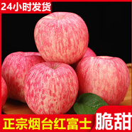 果犇犇山東煙臺(tái)紅富士蘋果水果新鮮應(yīng)當(dāng)季脆甜蘋果水果整箱批發(fā)一整箱 中果80（8-12個(gè)果） 3斤