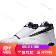 耐克（NIKE）男鞋 Air Jordan 14 AJ14 運動耐磨減震籃球鞋DO9406-200 AQ9119-100 白色 43
