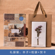 悅匯禮屋 古風(fēng)本子 A5歐式復古風(fēng)格彩頁(yè)筆記本加厚日記事手賬本創(chuàng  )意牛皮紙 【禮袋裝】藍色封面（彩色插畫(huà)）