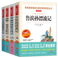 尼爾斯騎鵝旅行記 魯濱遜漂流記 愛麗絲漫游奇境記 湯姆·索亞歷險(xiǎn)記 部編版語文教材六年級(jí)下推薦閱讀（京東套裝4冊(cè)）