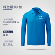 Success.long翻領(lǐng)純棉大碼長袖T恤定做班服定制企業(yè)團隊服工作服T恤文化衫定制 湖藍(lán) S