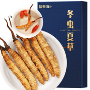福東海 冬蟲夏草特級1克#B  凍干精選高品質飽滿無斷草無空心東蟲草