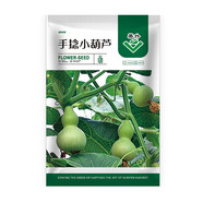 美外 花草花卉種子 室外花種籽子四季播種開花盆栽庭院花種子 手捻小葫蘆【1包約30?！?
                                         title=