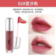 NOVO唇釉絲絨霧面啞光平價小眾口紅唇釉女不易掉色防水學(xué)生款 02#豆沙色日常色