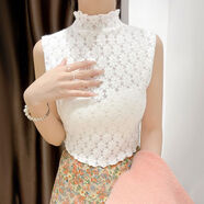 天芳芙假領(lǐng)子 女款高檔無(wú)袖假領(lǐng)子背心蕾絲打底衫女高領(lǐng)洋氣內搭高端小 白色 均碼