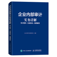 企业内部审计实务详解 审计程序 实战技法 案例解析