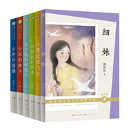 新時(shí)代兒童文學(xué)獲獎(jiǎng)大系·第二輯（朗讀版，6冊(cè)，《少年的榮耀》《浮橋邊的湯木》《小水的除夕》《布羅鎮(zhèn)的郵遞員》《細(xì)妹》《小鷹逆風(fēng)飛行》）