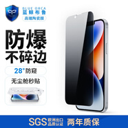 藍鯨布魯適用蘋(píng)果16/15/14/13鋼化膜iPhone16promax手機膜秒貼防窺陶瓷膜15pro鋼化膜電鍍高清保護膜 iPhone 13【贈無(wú)塵艙】 高清防窺膜【電鍍升級防摔陶瓷膜】1片