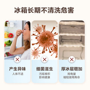京東家政清洗 冰箱(單門)清洗 家電清洗上門服務(wù)清潔保養(yǎng)保潔