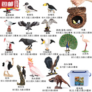 毅彩動物模型 實心仿真玩具套裝認知飛禽鳥類老鷹鸚鵡孔雀火烈鳥擺件 鳥類21件套裝 +收納盒