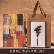 悅匯禮屋 古風(fēng)本子 A5歐式復(fù)古風(fēng)格彩頁(yè)筆記本加厚日記事手賬本創(chuàng)意牛皮紙 【禮袋裝】咖色封面（彩色插畫）