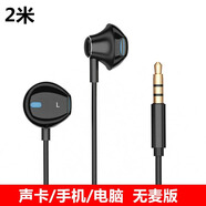 RSRDDY電腦耳機有線(xiàn)筆記本入耳式帶麥3米加長(cháng)臺式機typec帶話(huà)筒2雙插孔 2米黑色無(wú)麥