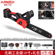 漢斯鋰電池電鋸家用手持伐木鋸小型電動(dòng)大功率電鏈鋸充電式鏈條鋸 無(wú)刷工業(yè)級12寸【10節1電】+禮包