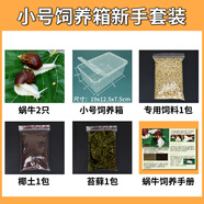 寵以沫寵物白玉蝸?；铙w巨型大蝸牛寵物觀(guān)賞學(xué)生科學(xué)實(shí)驗教學(xué)小蝸牛套裝 小飼養箱新手套裝2只蝸牛