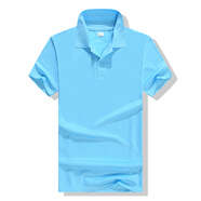 奧義馳 T恤印制標志logo訂做翻領(lǐng)polo廣告文化衫短袖衣定制班服工衣 天藍 M