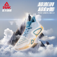 匹克（PEAK）2.0籃球鞋男秋季回彈運(yùn)動(dòng)鞋潮球鞋子男 優(yōu)蘭 39