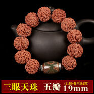 沐瑪文玩正宗尼泊爾五瓣爆肉金剛菩提子手串原籽男士佛珠圣誕禮物 三眼天珠款五瓣19mm