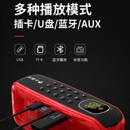 小霸王廣場(chǎng)舞音響藍牙收音機老人專(zhuān)用高端便攜式多功能充電收音插卡U盤(pán) 香檳金【FM收音機+藍牙音箱】