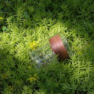 浦「浦poa」山止川行觀山防燙公道杯多用公道杯 分茶玻璃茶杯茶具