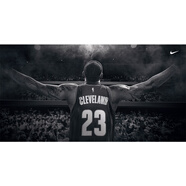 nba海報(bào)科比詹姆斯庫(kù)里籃球明星杜蘭特球館壁紙宿舍臥室畫(huà)墻貼紙 深卡其布色 詹姆斯撒鎂粉9