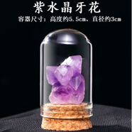 匯多緣天然水晶礦物寶石原石擺件鉍晶體精致礦石標本盒兒童親子礦標奇石 紫晶牙花(加瓶子)