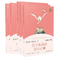 魯濱遜漂流記+尼爾斯騎鵝旅行記（上中下）+愛(ài)麗絲漫游奇境 人教版快樂(lè )讀書(shū)吧六下套裝（共5冊）
