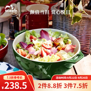 琺寶（staub）陶瓷碗大號(hào)沙拉碗家用甜品碗泡面湯碗面碗烘焙雙耳飯碗 25cm 蒔蘿綠