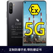 麥芒麥芒9 5G 6400萬三攝 防爆智能手機本安EX化工廠石油天然氣醫(yī)藥工業(yè) 防爆定制版(帶防爆證書) 6GB+128GB
