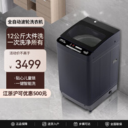 金松（JINSONG）智控波輪洗衣機全自動 12公斤大容量 家用宿舍租房神器XQB120-H512TXP