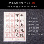 賦比興筆畫描紅練字練習(xí)毛筆楷書初學(xué)歐體臨摹字帖成人毛筆字練習(xí)紙入門小學(xué)生練字帖宣紙軟 柳公權(quán)楷體古詩(shī)描紅（白色） 初學(xué)套裝【字帖+毛筆+墨汁+毛氈+墨碟】