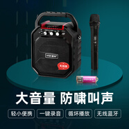 愛(ài)歌貴州小蓉兒s28無(wú)線(xiàn)藍牙音箱戶(hù)外k歌麥克風(fēng)話(huà)筒唱歌便攜式廣場(chǎng)舞音響低音炮小型家用家庭ktv播放器 無(wú)線(xiàn)版+U段單話(huà)筒+歌曲U盤(pán)