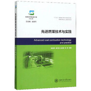 先進(jìn)燃煤技術(shù)與實(shí)踐/能源與環(huán)境出版工程（第二期)·低碳環(huán)保動(dòng)力工程技術(shù)系列