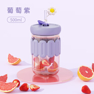 花間道玻璃杯女士高顏值吸管杯成人高硼硅耐熱花茶杯牛奶果汁杯辦公水杯 葡萄紫直杯500ml