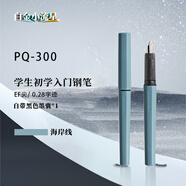 白金（PLATINUM）鋼筆鋼筆三年級小學(xué)生練字筆PQ-300小流星彩色馬卡龍色書(shū)寫(xiě)筆升級02EF 極細字 海岸線(xiàn)