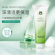 雅麗潔（YALGET） 蘆薈保濕菁萃潔面乳女學(xué)生補水保濕洗面奶滋潤清潔毛孔水潤潔面 蘆薈保濕修護(hù)潔面乳120g