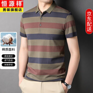 恒源祥短袖T恤男條紋翻領(lǐng)高端休閑絲光棉夏季中年半袖polo.衫上衣服男裝 MMSJ45-8906咖色 XL 175