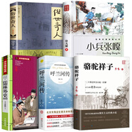 俗世奇人馮驥才全本完整版 五年級下冊閱讀課外書必讀正版的書籍課外文學書人民作家出版社世俗奇人 呼蘭河傳五年級 蕭紅原著正版 小學生四五六年級課外閱讀經(jīng)典讀物完整版 【5冊】俗世奇人+小兵張嘎+駱駝+呼