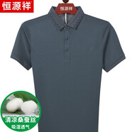 恒源祥桑蠶絲短袖t恤男中年爸爸夏季男裝翻領(lǐng)真絲上衣服半袖體恤汗衫 110821鐵灰 170