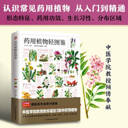 藥用植物輕圖鑒   含章新實(shí)用全新圖解版！中醫(yī)學(xué)院教授教你鑒別280種藥用植物！