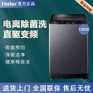 海爾Haier/EB120B22Pro2大容量家用全自動(dòng)直驅(qū)變頻除菌波輪洗衣機(jī) 12公斤直驅(qū)變頻
