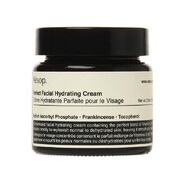 伊索（AESOP）護膚系列 perfect美滋潤面霜60ml