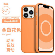 諾邦士 適用蘋果13手機(jī)殼動畫磁吸iphone13液態(tài)硅膠防摔手機(jī)保護(hù)套網(wǎng)紅純色高級品牌13promax手機(jī)殼強(qiáng)力 13ProMax【金盞花色】帶標(biāo)磁吸動畫液態(tài)硅膠 iphone 其他型號