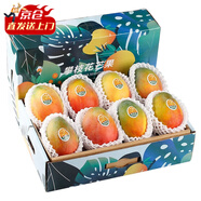 百橙戀四川攀枝花凱特芒果 新鮮大果當季時(shí)令生鮮芒果中秋送禮整箱水果 10斤大果【禮盒裝】