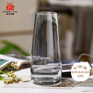 愛已裝糖時尚窄口玻璃花瓶綠植花束水培容器客廳裝飾擺件插花瓶煙灰色22cm