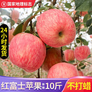 鮮聲煙臺(tái)蘋果棲霞紅富士新鮮水果時(shí)令生鮮山東特產(chǎn)脆甜整箱蘋果禮盒 3斤紅富士蘋果170g+