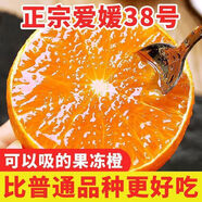 勇者無(wú)懼四川愛(ài)媛38號果凍橙多地次日達新鮮當季柑橘橙中秋禮品水果禮盒 整箱5斤裝一級果65mm+凈重4.5斤