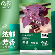壽禾 食用紫妃紫蘇種子大葉全紫蘇子菜秧四季秋冬季蔬菜香草籽種 紫黛七號紫蘇種子 5g